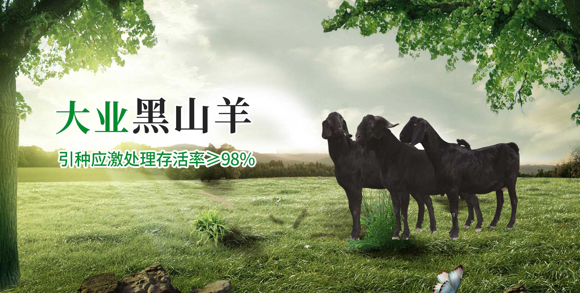 一站式陶瓷教學(xué)服務(wù)商